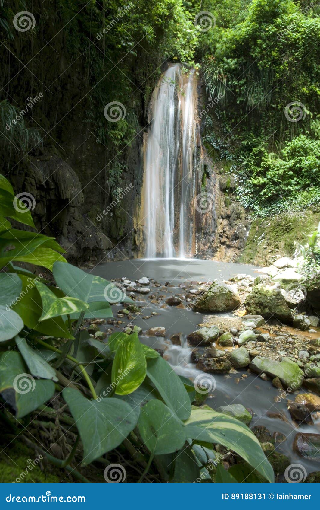 Waterfall St Lucia Botanical Gardens Stock Image Image Of Luxury