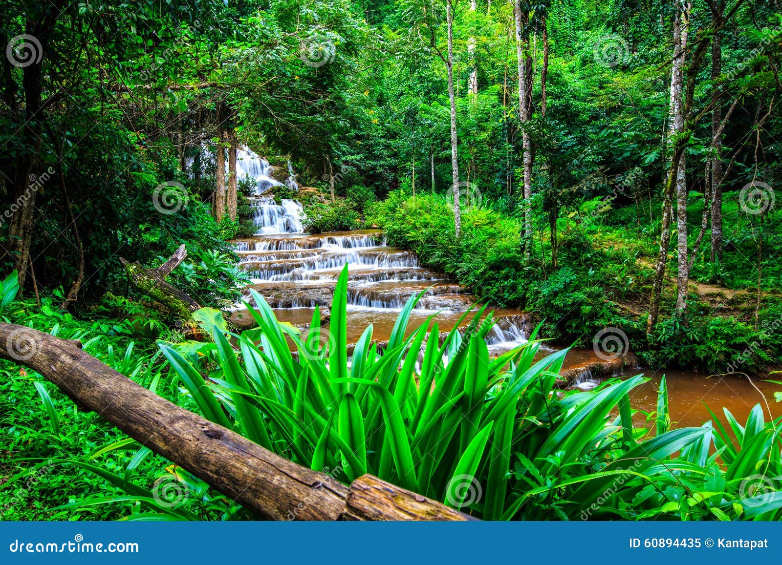 Waterfall stock image. Image of motion, charoen, heaven 60894435