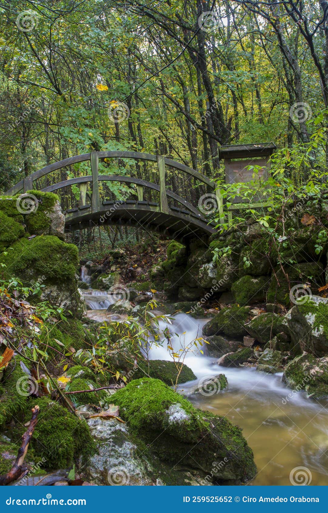 Waterfall of widow bridge stock photo. Image of river 259525652