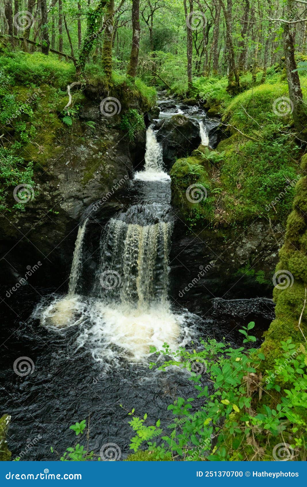 waterfall in wood of cree, newtown stewart, dumfries & galloway scotland