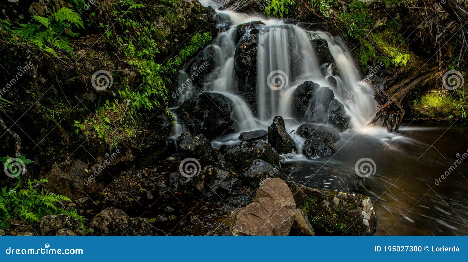 Waterfalls with Black Rocks and Green Plants and Ferns Stock Photo