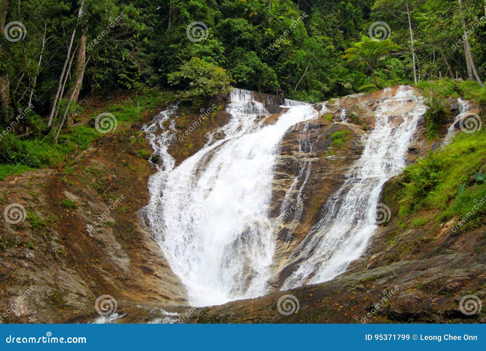 Waterfalls at Cameron Highlands, Malaysia Stock Image Image of rock