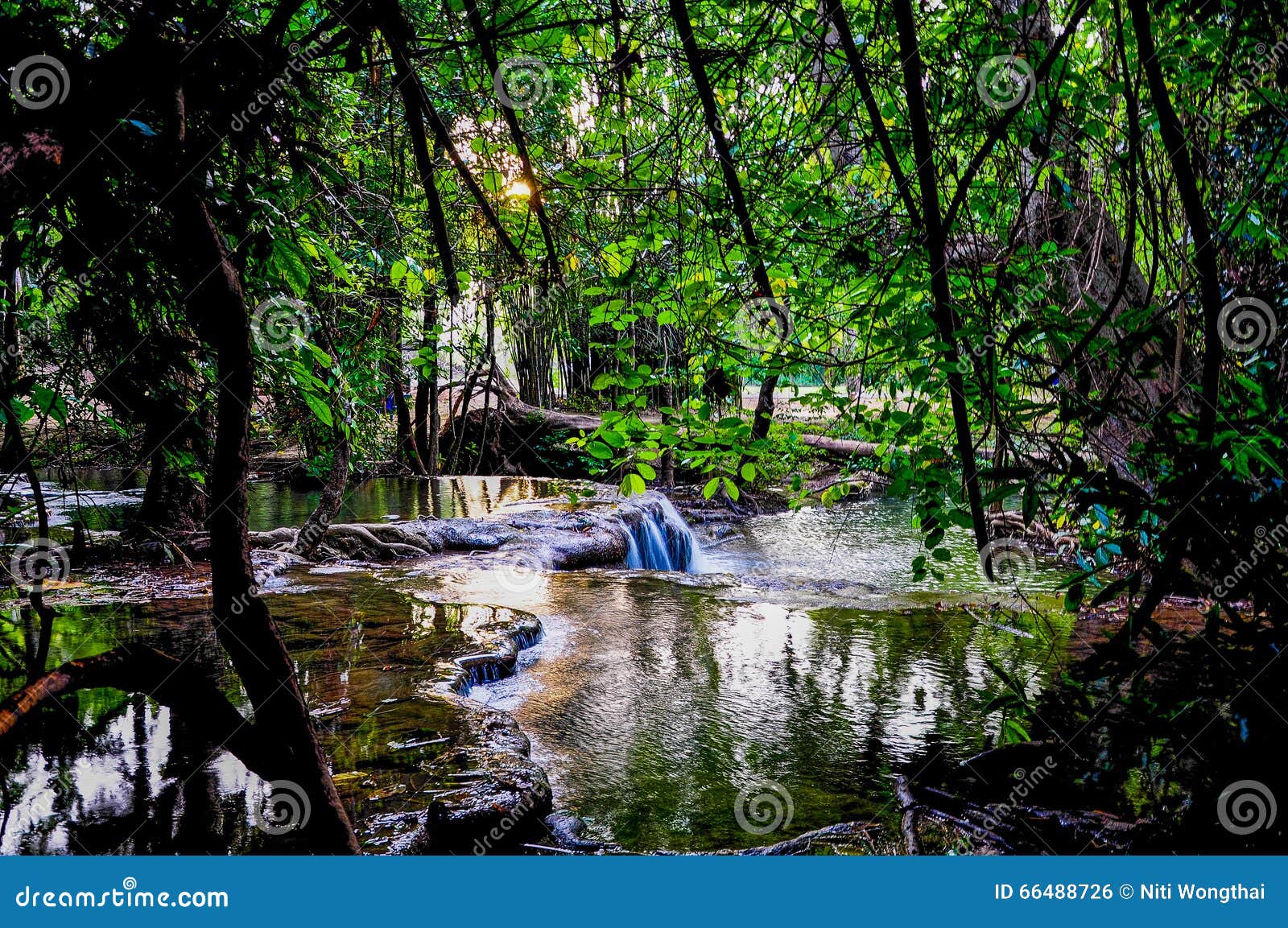 Waterfalls, Emerald Green Water Stock Photo Image of leaf, foliage