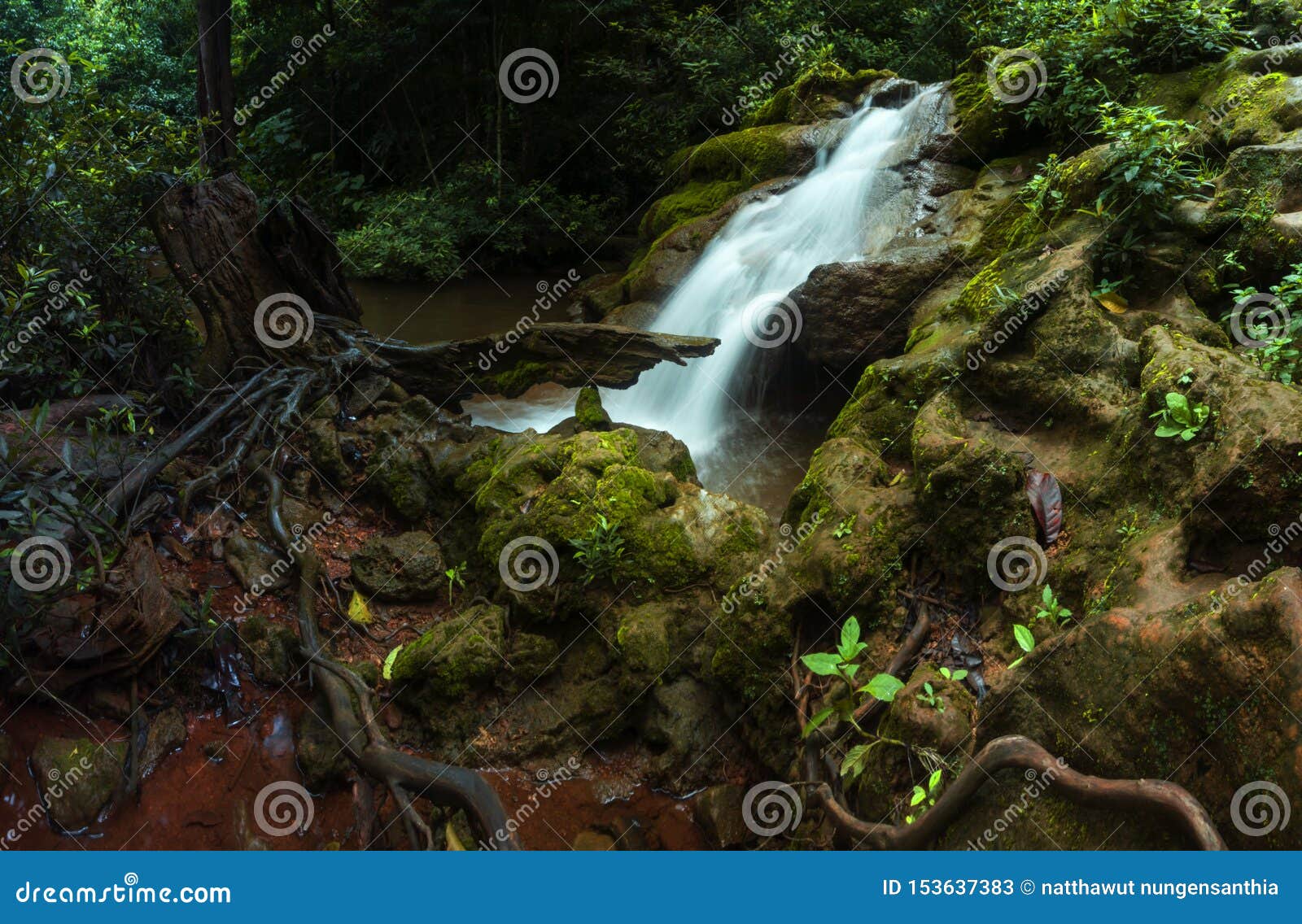 waterfalls in the rainy season, wetness in the rainy season