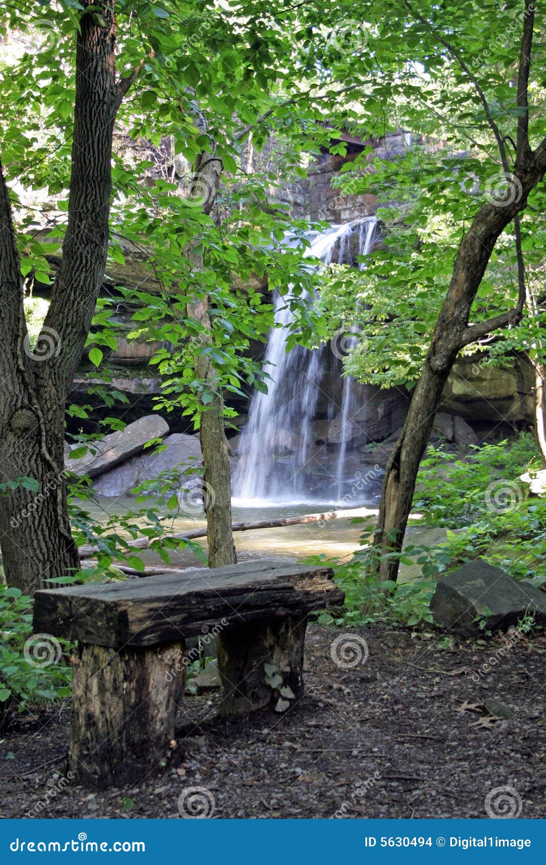 waterfalls through the trees with bench