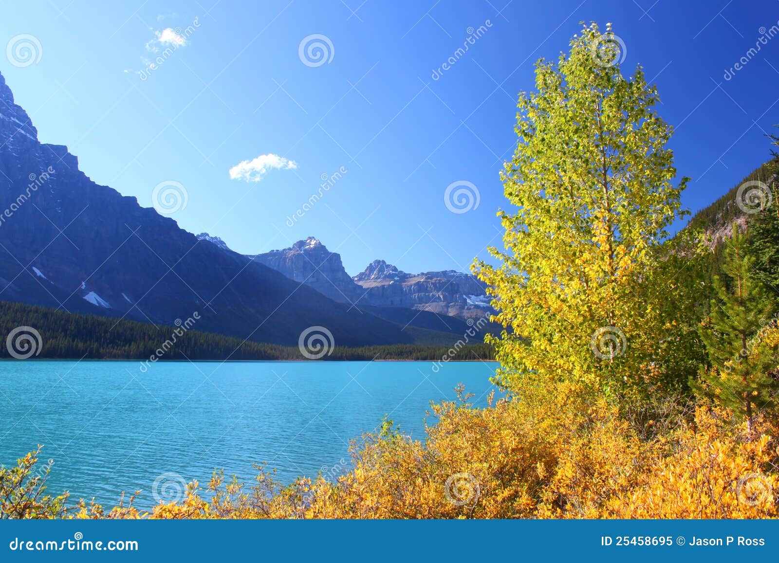 waterfowl lakes in banff park