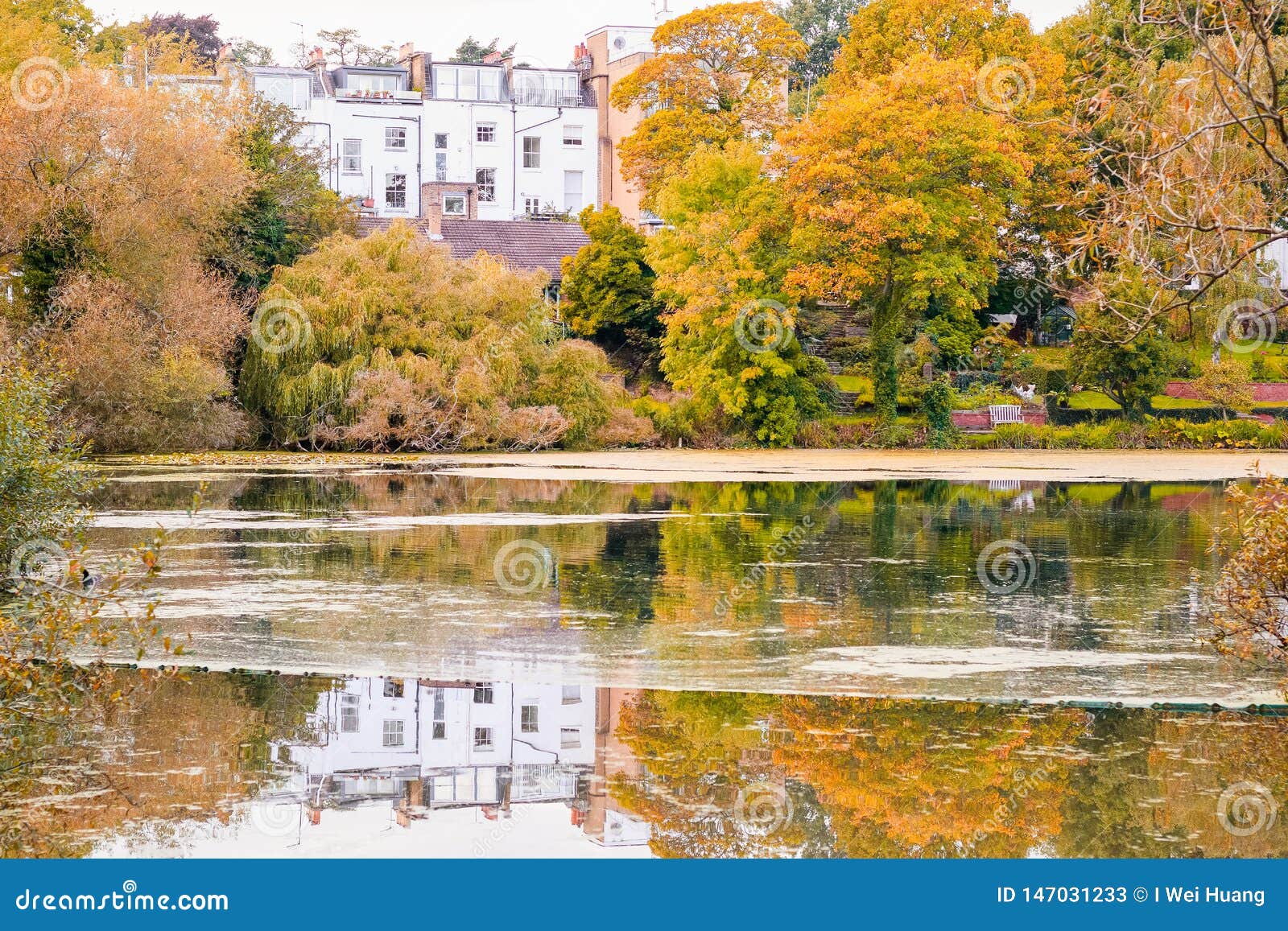 Waterfront Apartment in Hampstead Heath of London Stock Image Image of hill, mountain 147031233