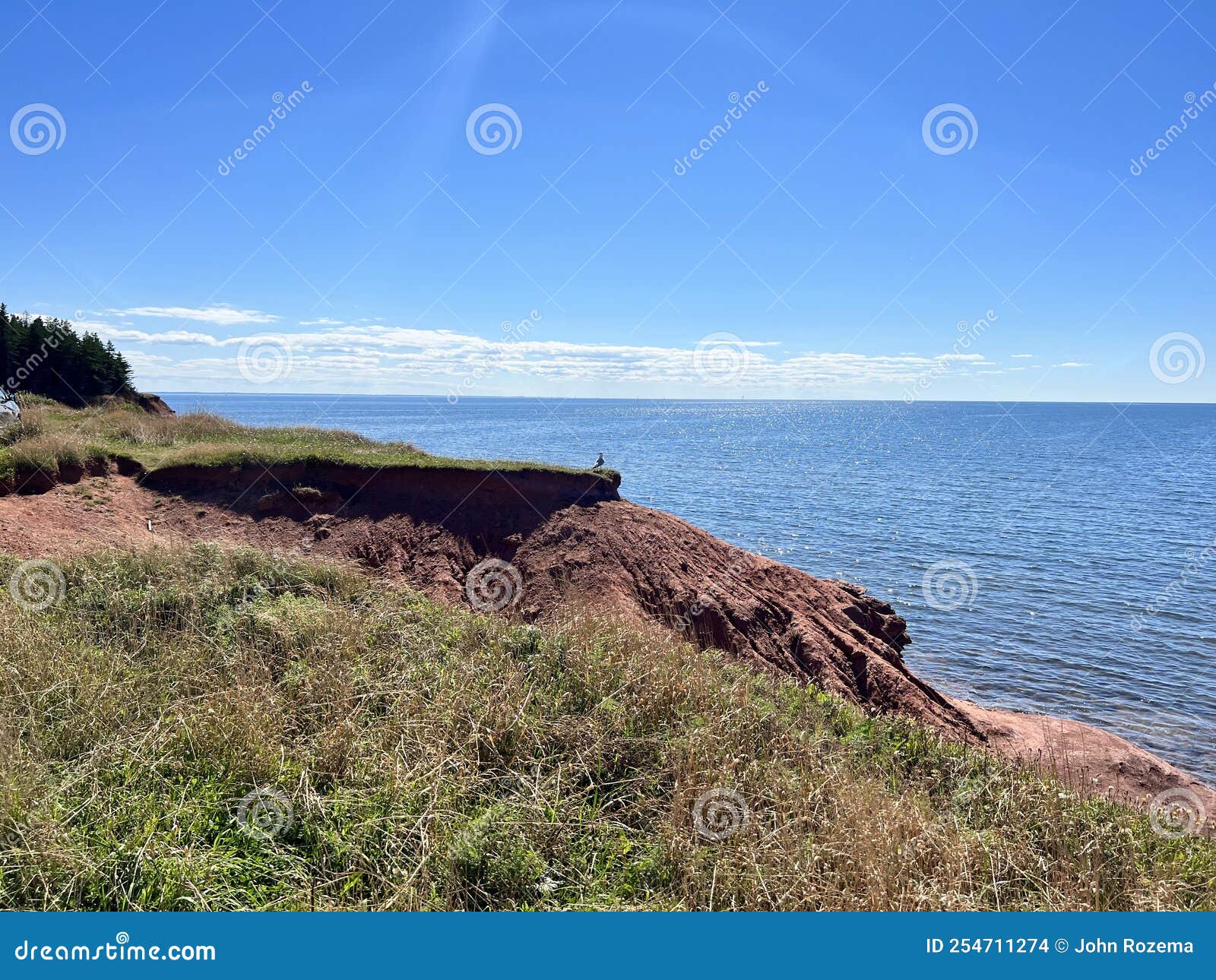 Summerside and Area Beach and Harbour Stock Photo Image of birds