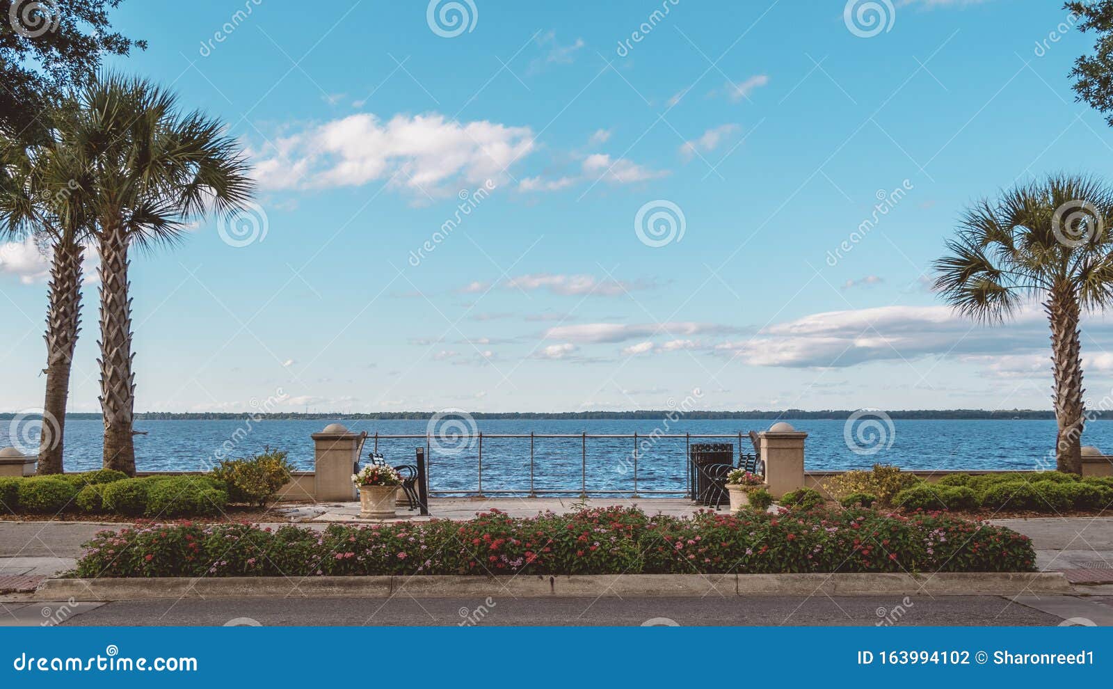  Waterfront  Benches On Lake Monroe In Historic Sanford  