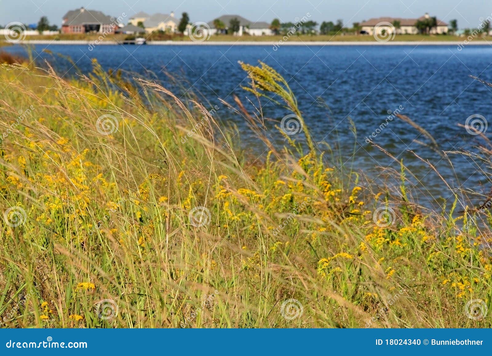 Waterfront property stock photo. Image of houses, louisiana 18024340