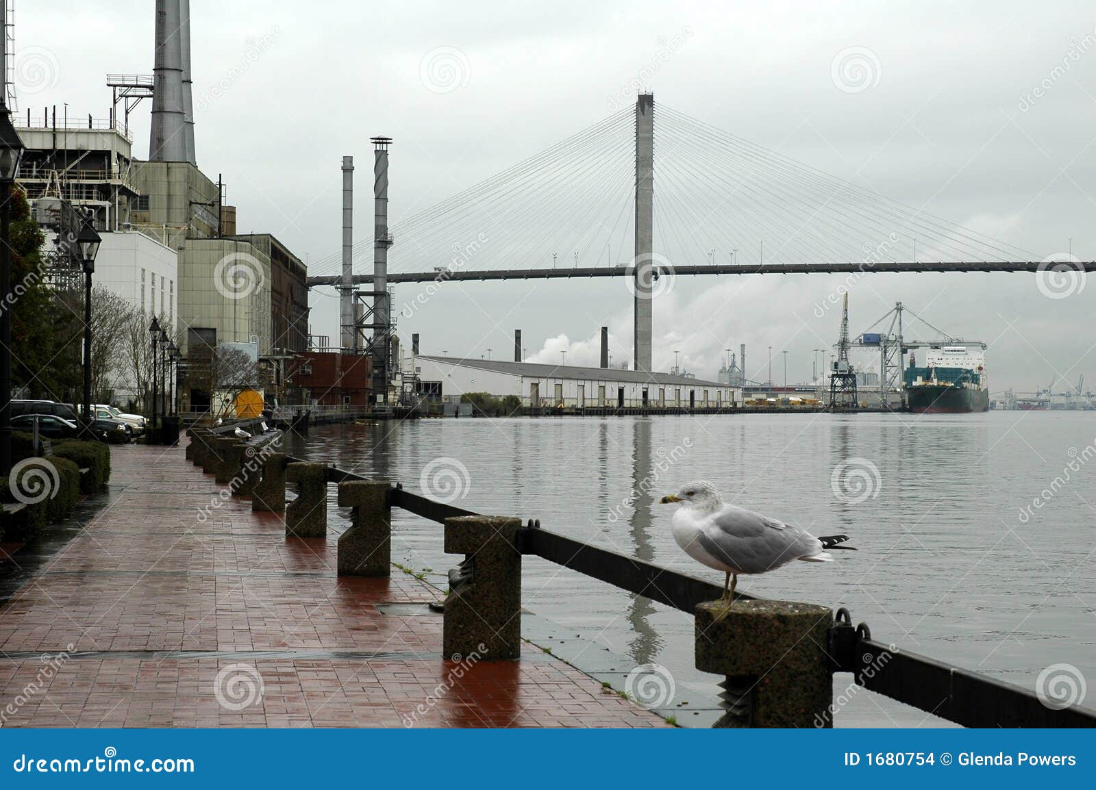 waterfront in the rain