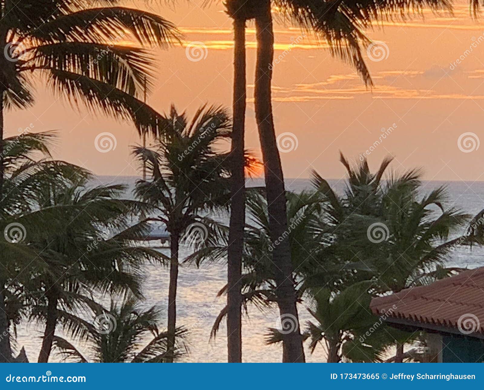 Waterfront View and Sunset in Aruba Stock Image Image of full