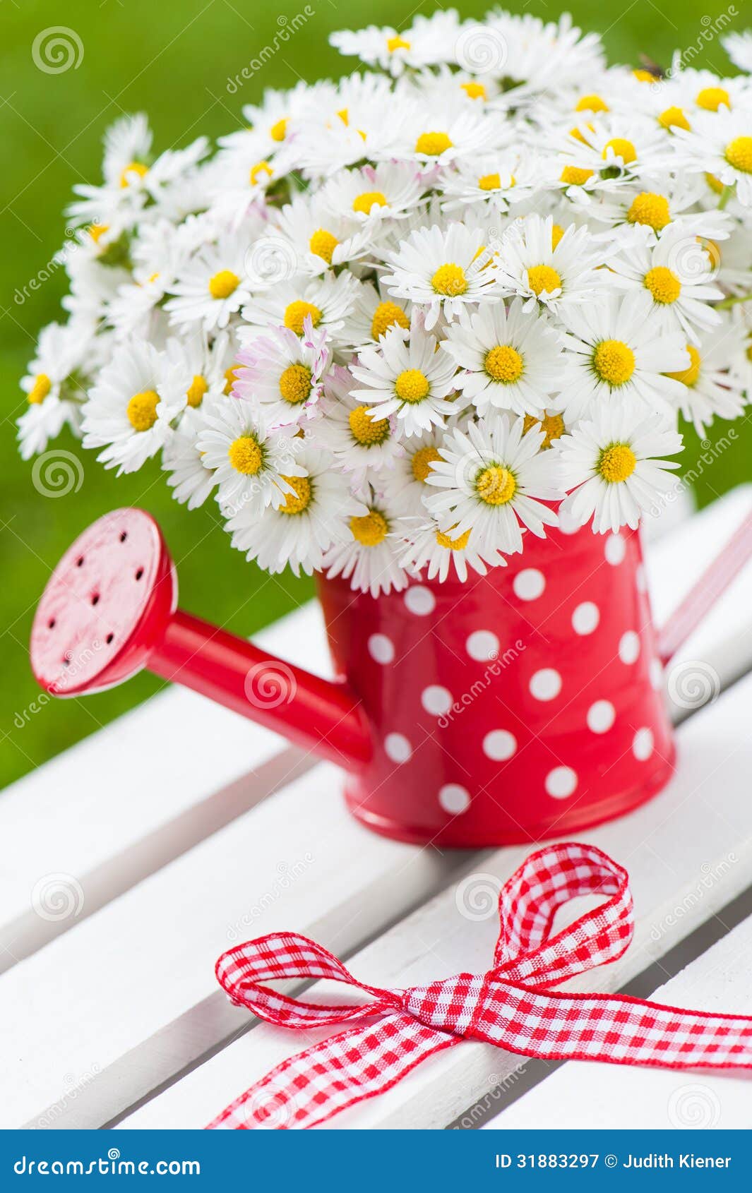 Watering can with daisies stock image. Image of relaxation 31883297