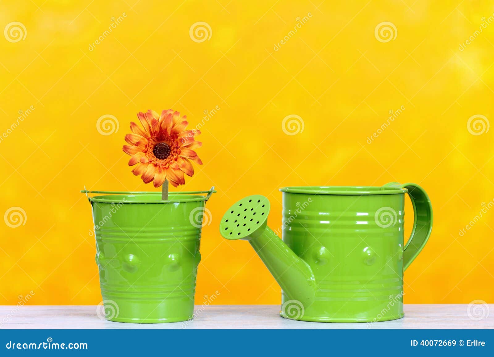Watering can and flowers stock image. Image of bouquet 40072669