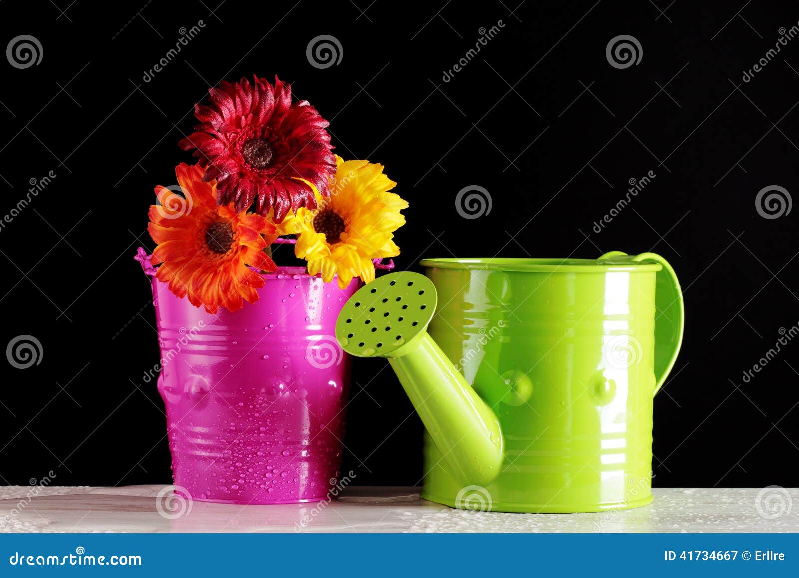 Watering can and flowers stock image. Image of botanical 41734667