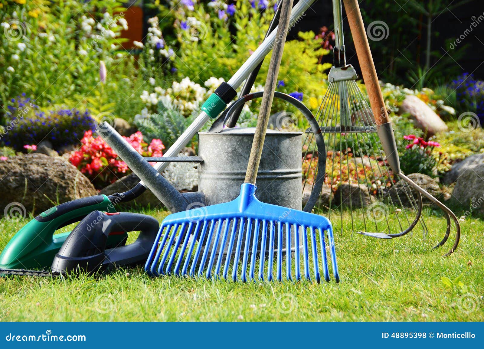Watering Can and Tools in the Garden Stock Photo Image of planting, botanical 48895398