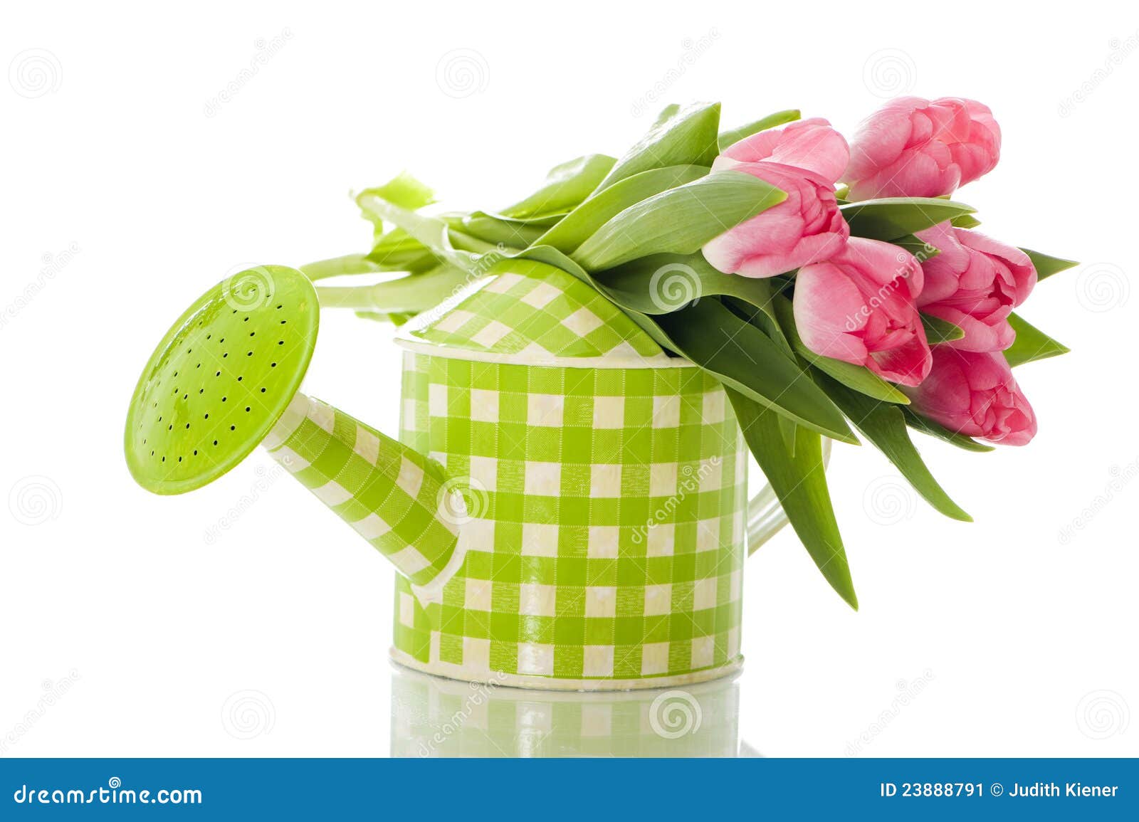 Watering can with tulips stock image. Image of lilac - 23888791