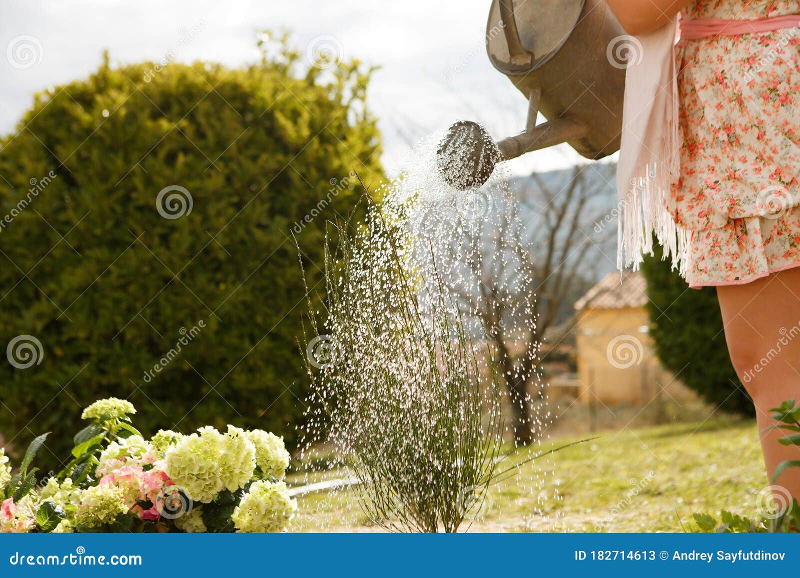 watering can for watering flowers in hands of girl
