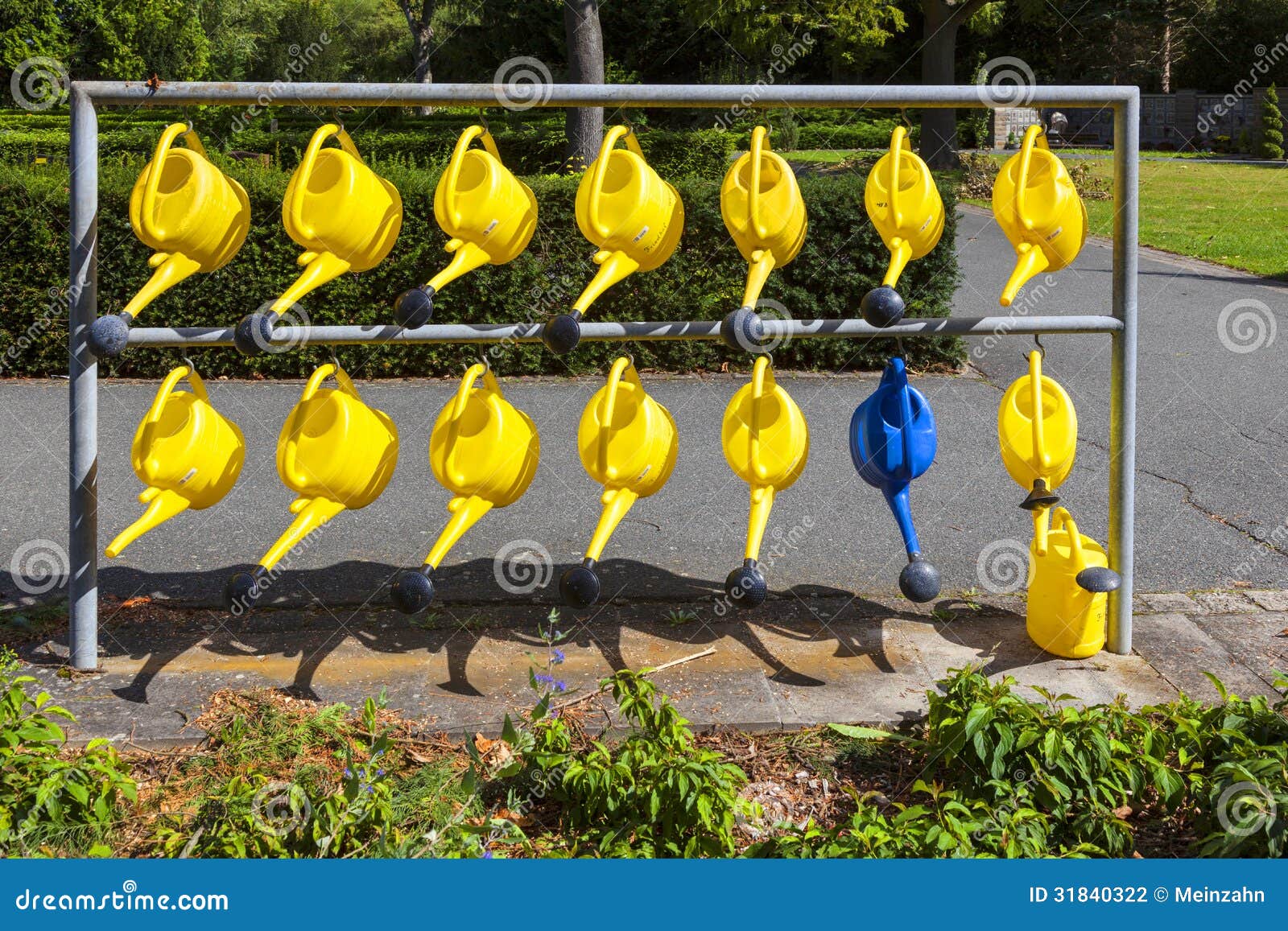 Watering Cans Hanging for Use at Stock Photo Image of flowers, yellow
