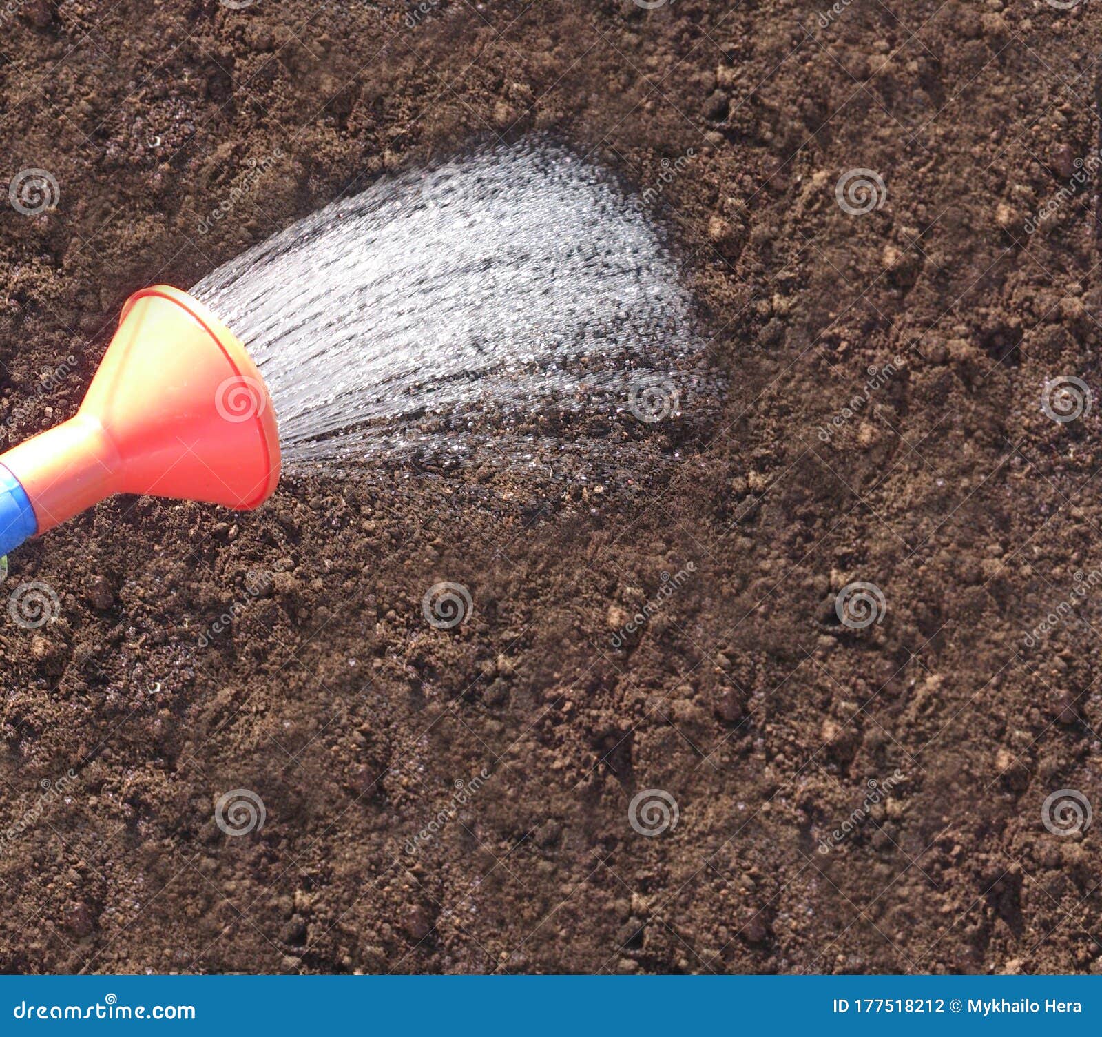 Watering the earth stock photo. Image of beginning, botany 177518212
