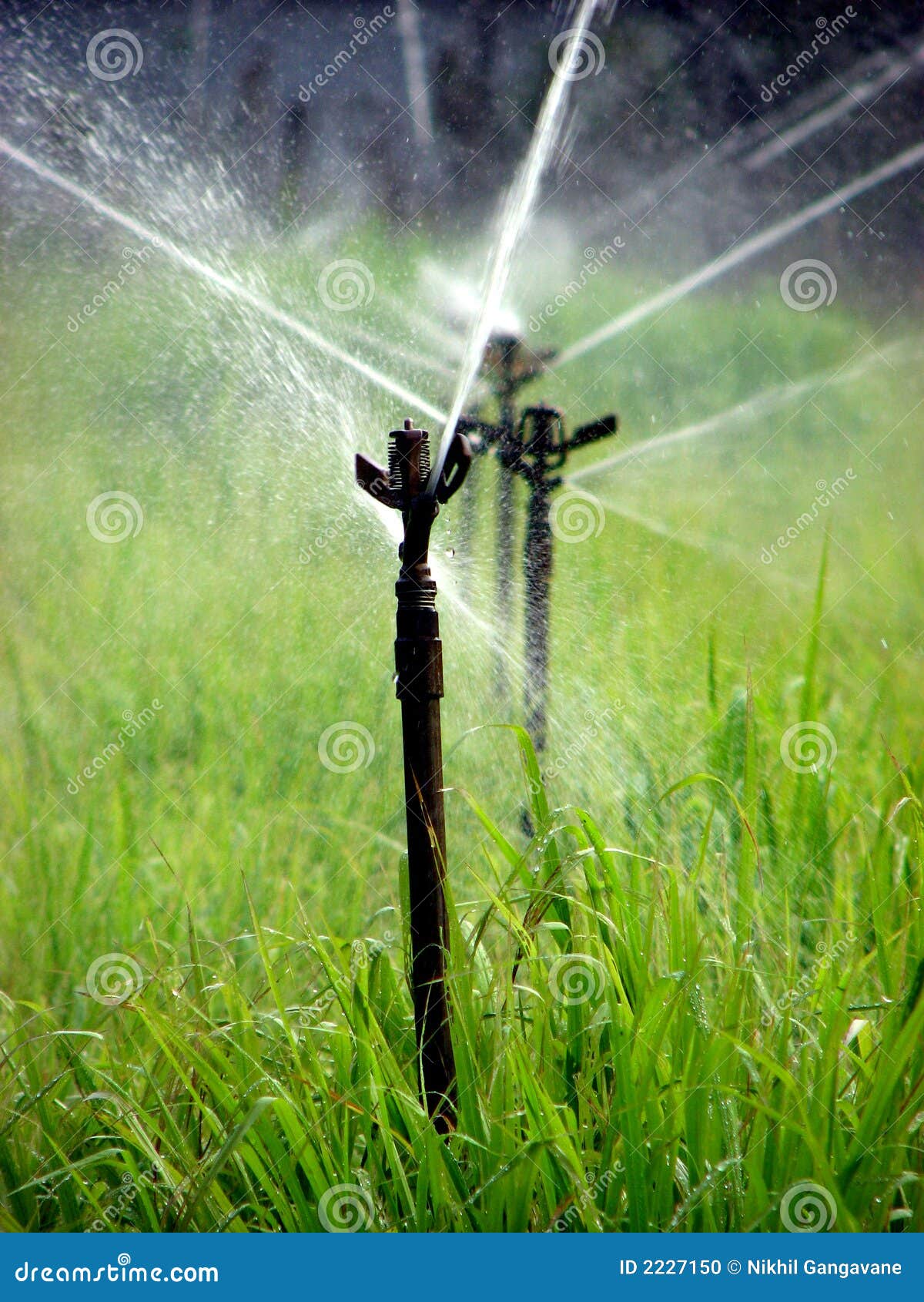 Watering Fields stock photo. Image of rotating, hose, intelligent 2227150