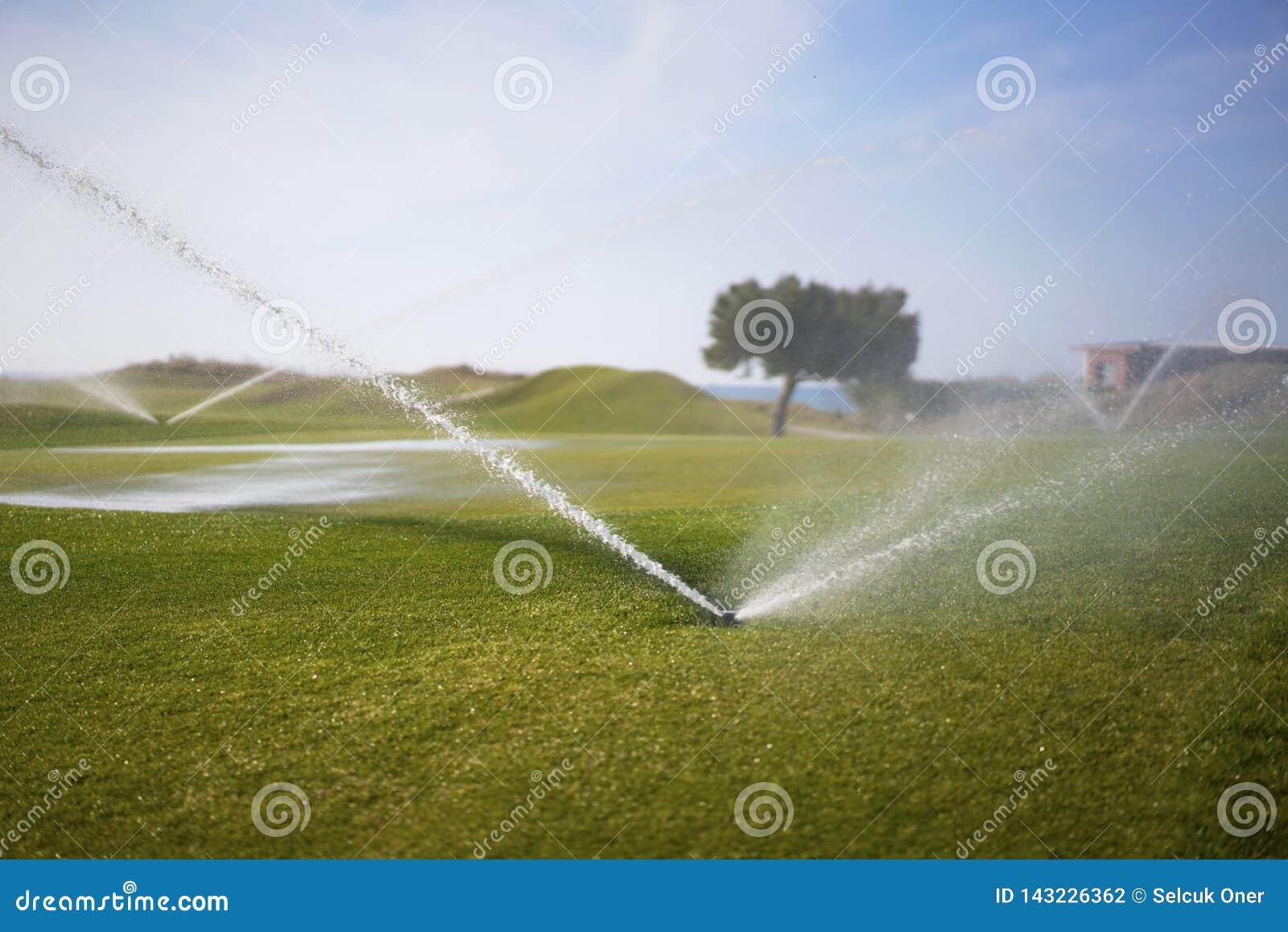 Watering the golf course stock photo. Image of irrigation 143226362