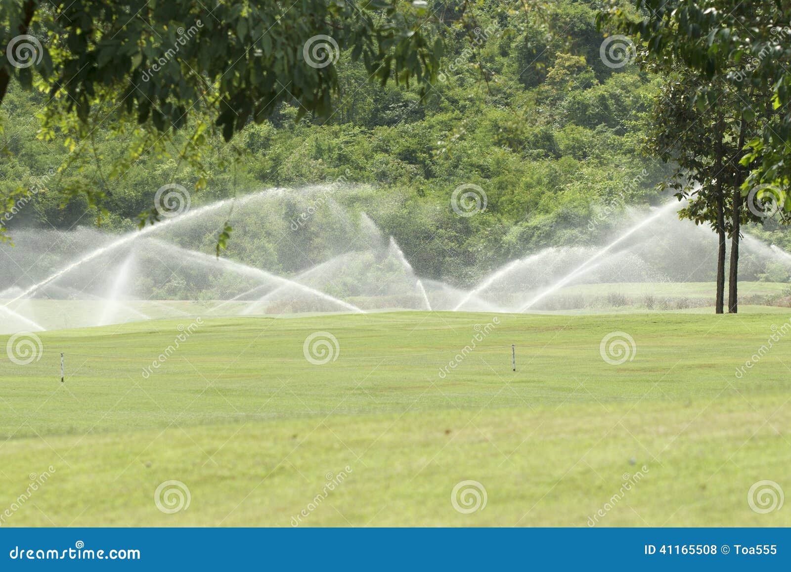 Watering in golf course stock photo. Image of sprinkler 41165508