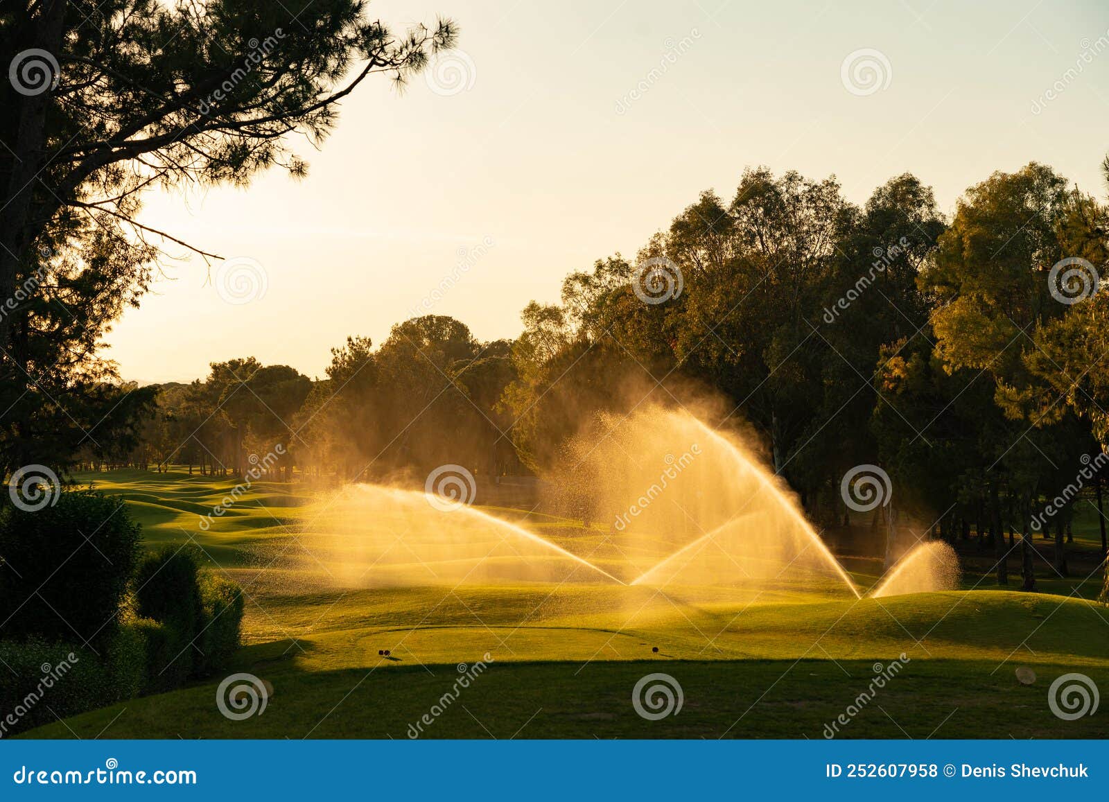 Watering the Grass on the Golf Course in the Evening Stock Photo
