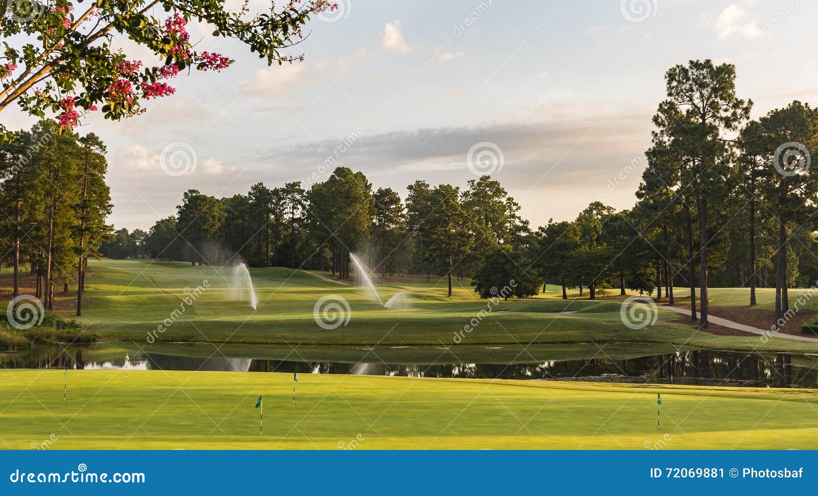 Watering the Greens stock image. Image of sports, sprinkler 72069881