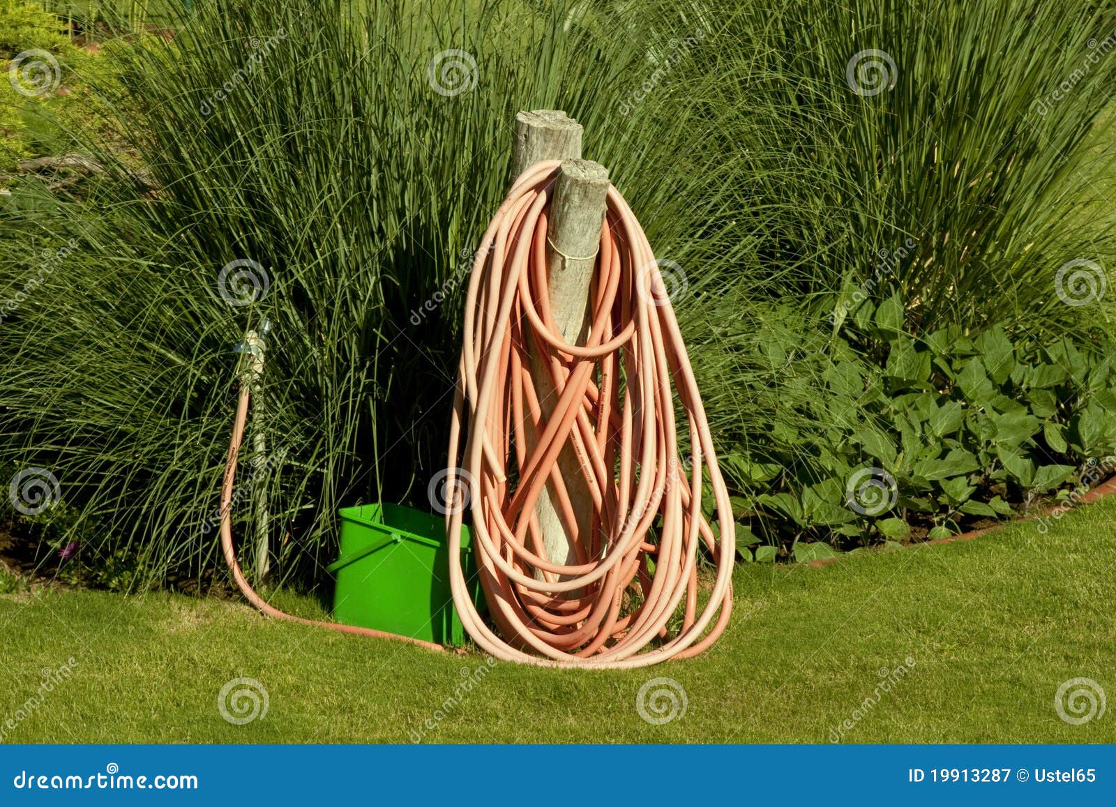 WATERING HOSE stock image. Image of grass, park, water 19913287