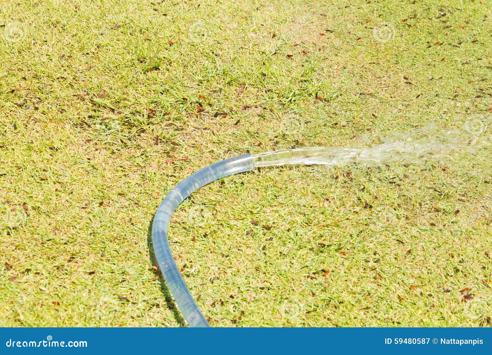 Watering Hose on Grasses Background Stock Image Image of pipe