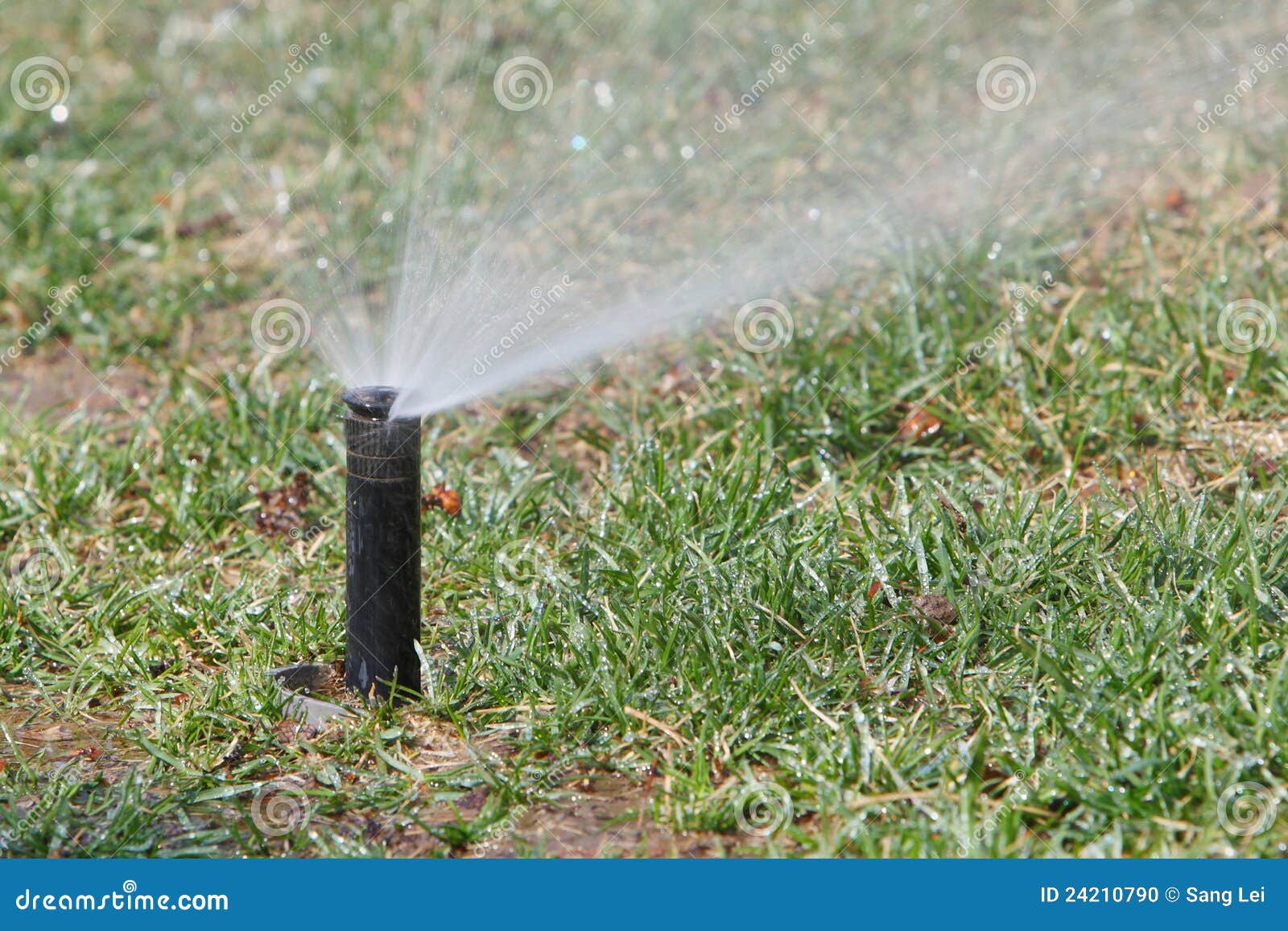 Watering lawn in spring stock photo. Image of garden 24210790