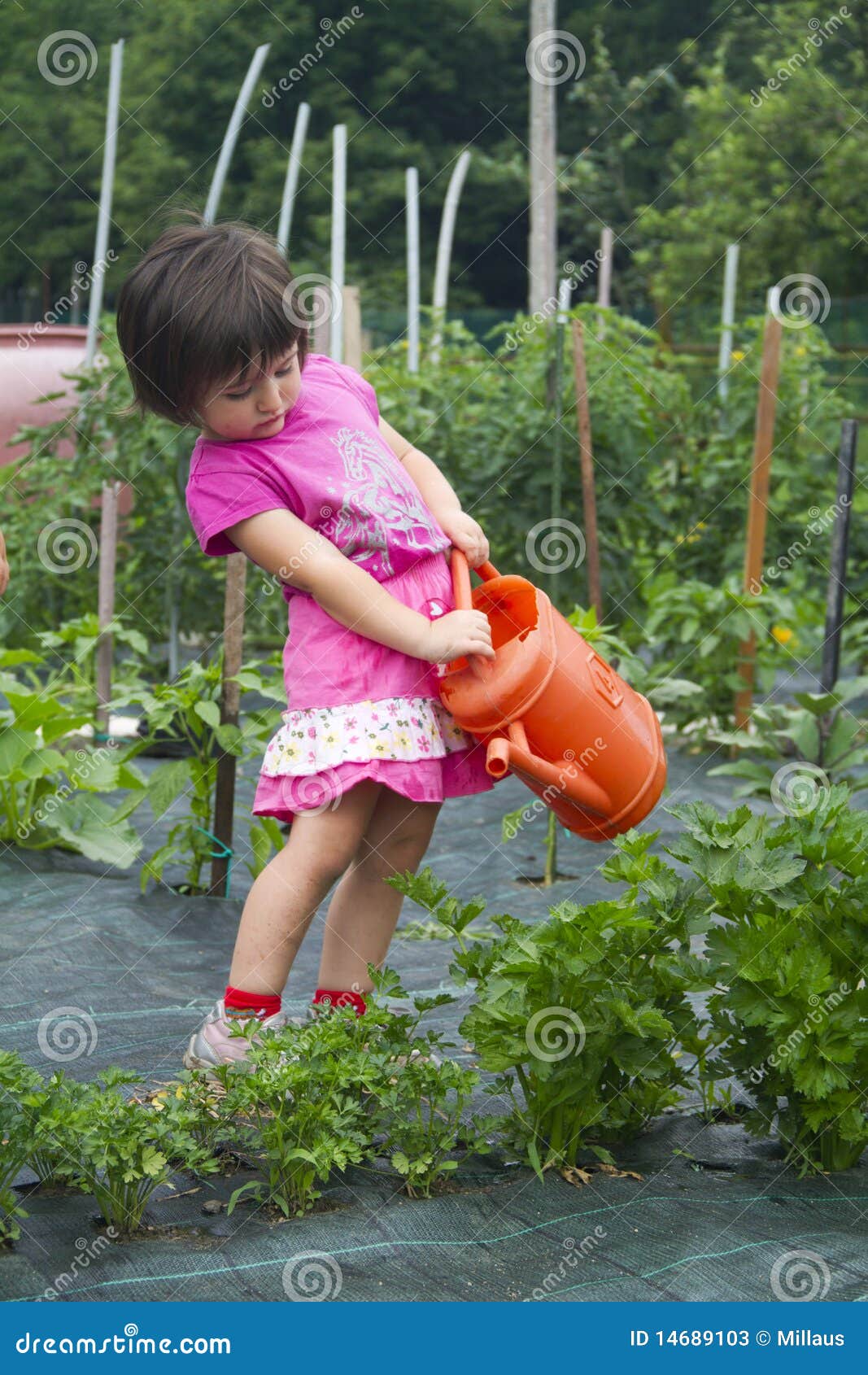 Watering the plants stock image. Image of little, watering 14689103
