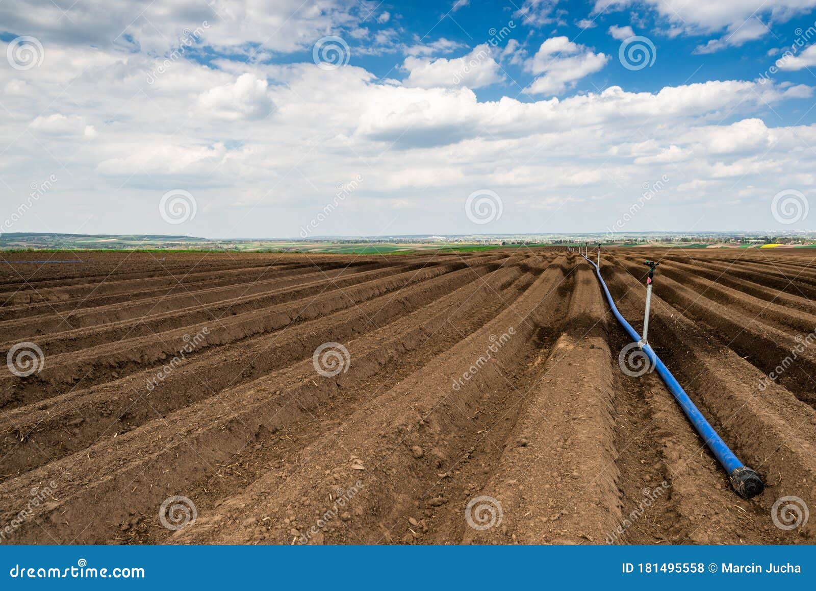 watering system in agriculture industry. drough on plantation,clima change problem