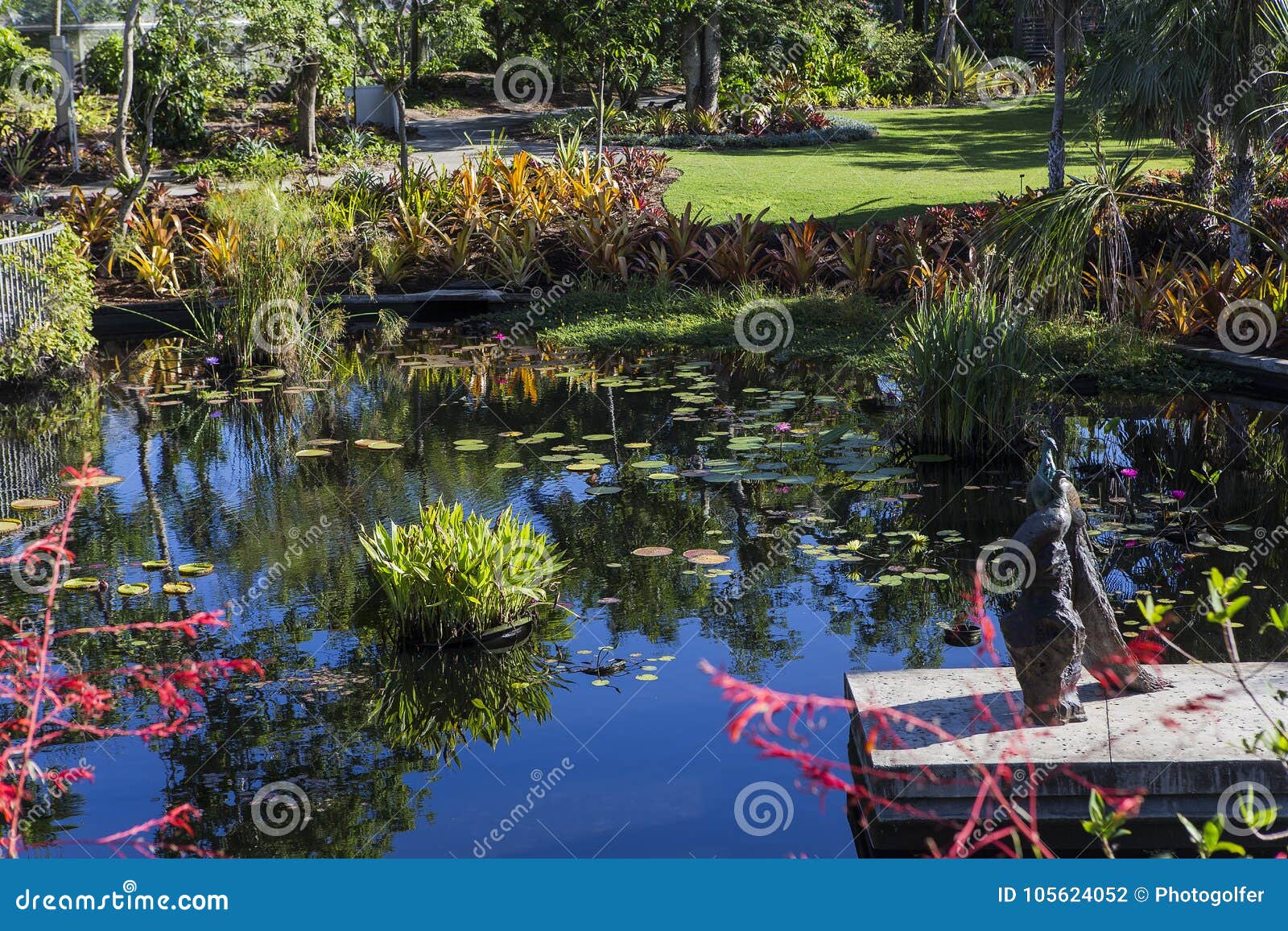 Waterlilies In A Botanical Garden In Naples Florida Usa Stock