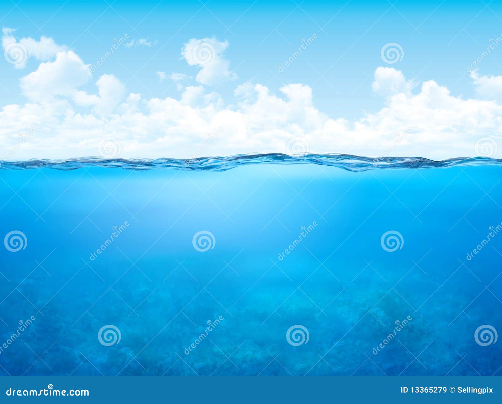 waterline and underwater background