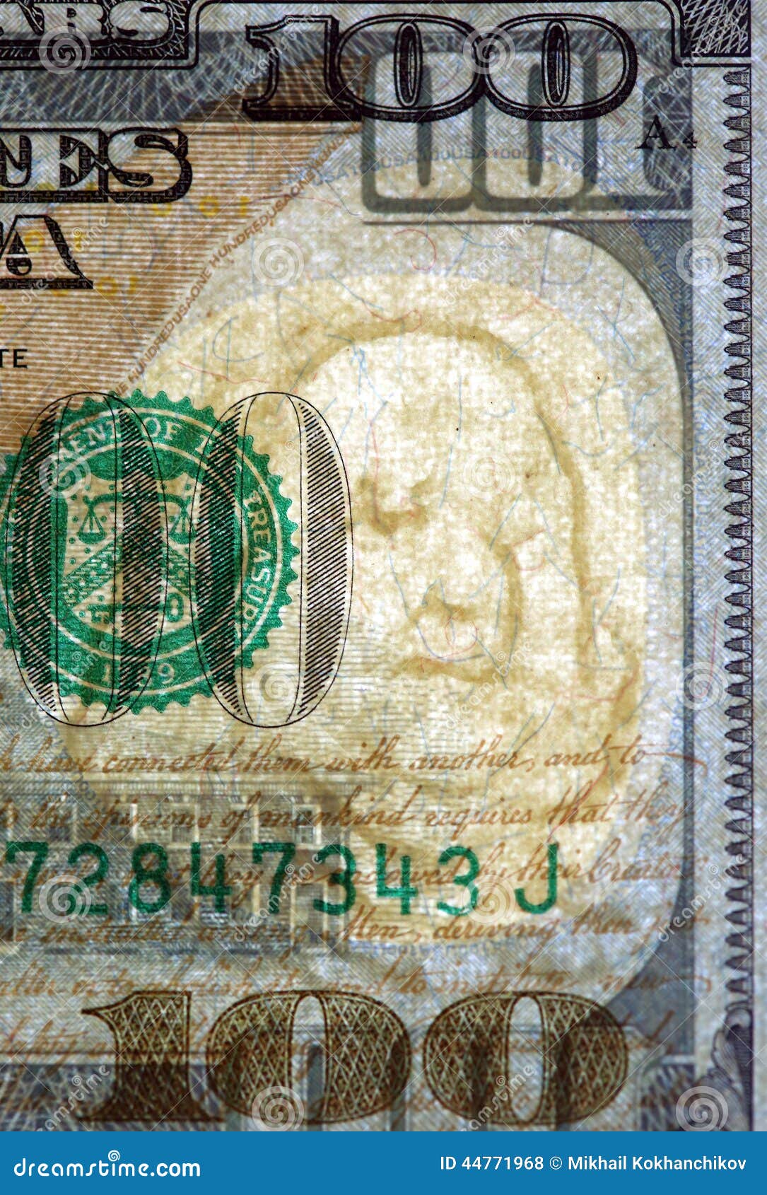 Dollar Bill Template