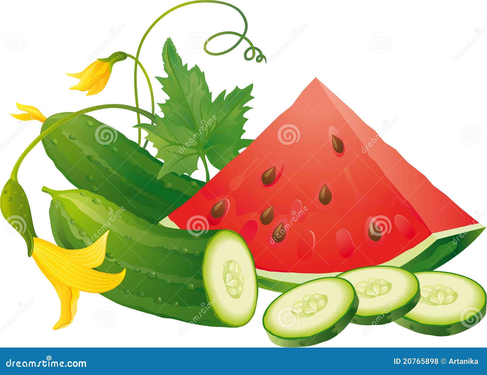 Cucumber Nutritional Information 100g Cucumber Nutritional Information 100g