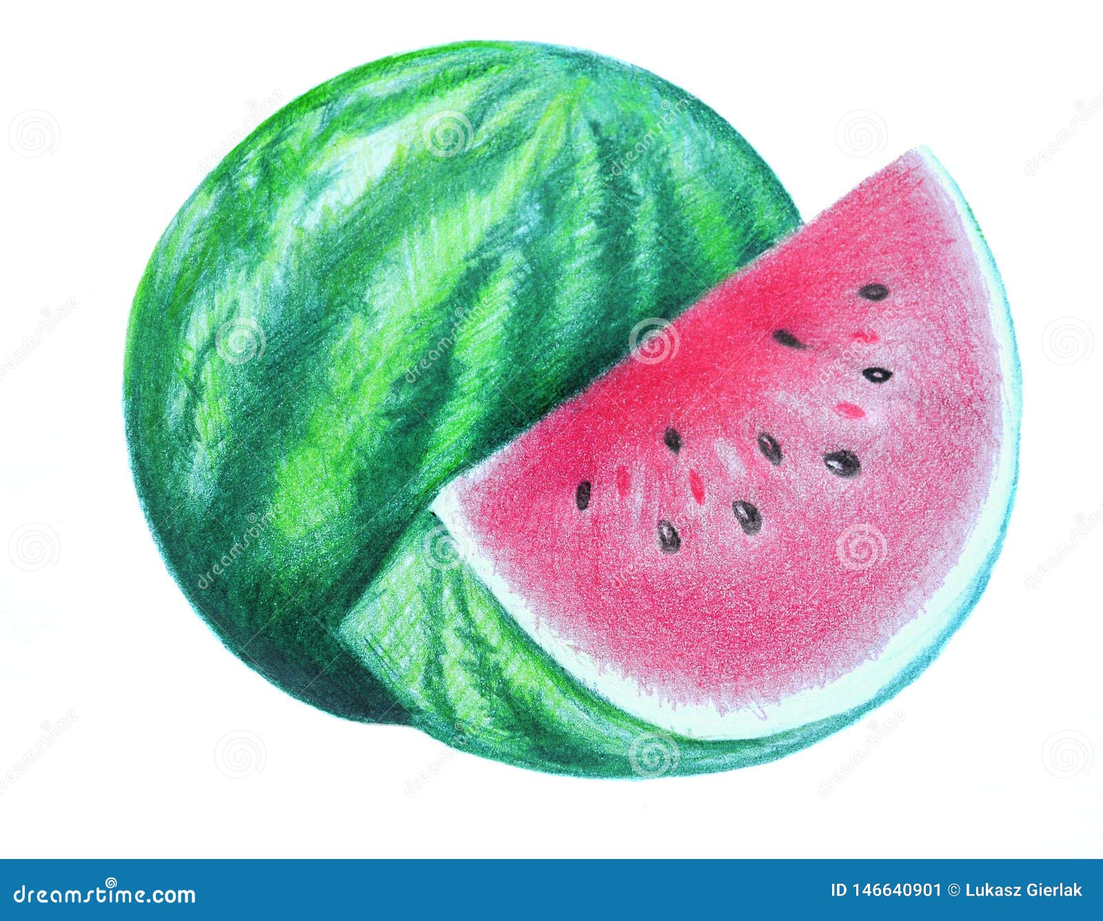 How to draw watermelon / LetsDrawIt