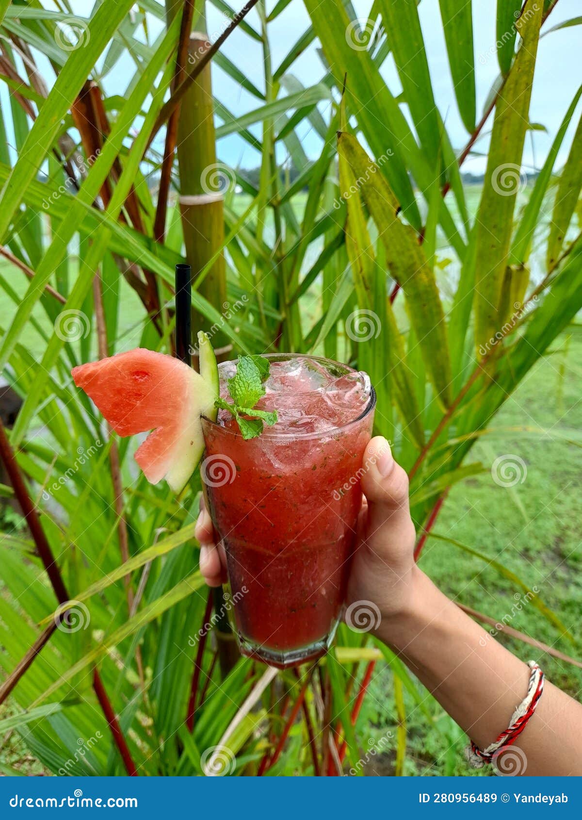 Watermelon Drink in the Cup with Mint and Butterfly Garnish Stock Image