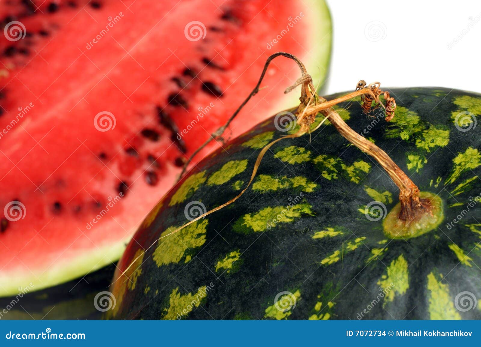 Watermelon with dry stem stock photo. Image of texture 7072734