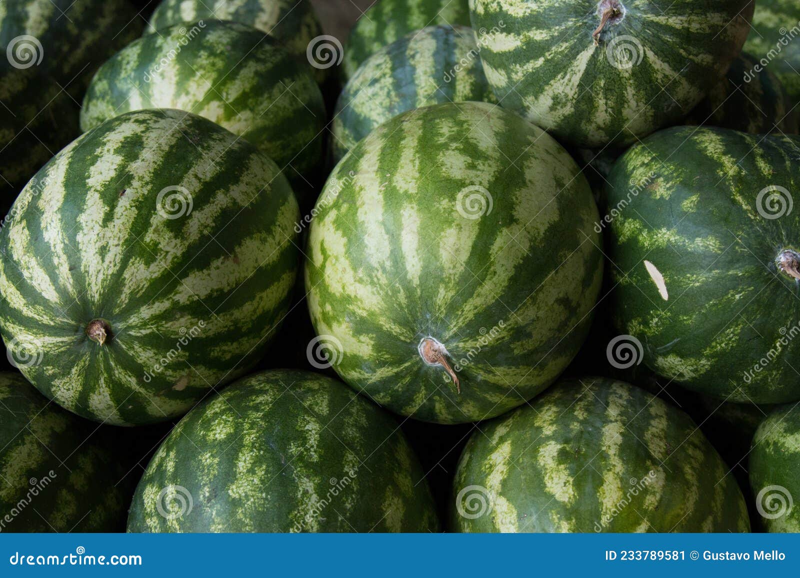 Watermelon the food market stock image. Image of tropical 233789581