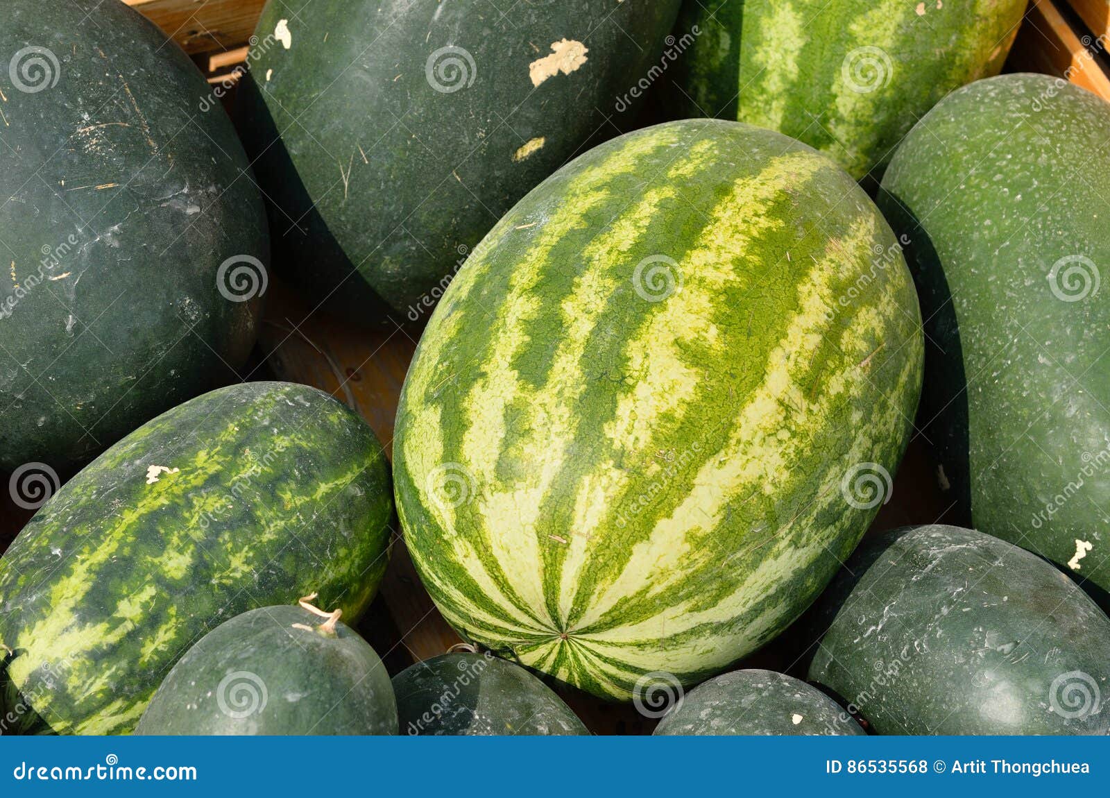 Watermelon Group from a Marketplace Stock Photo Image of vegetable