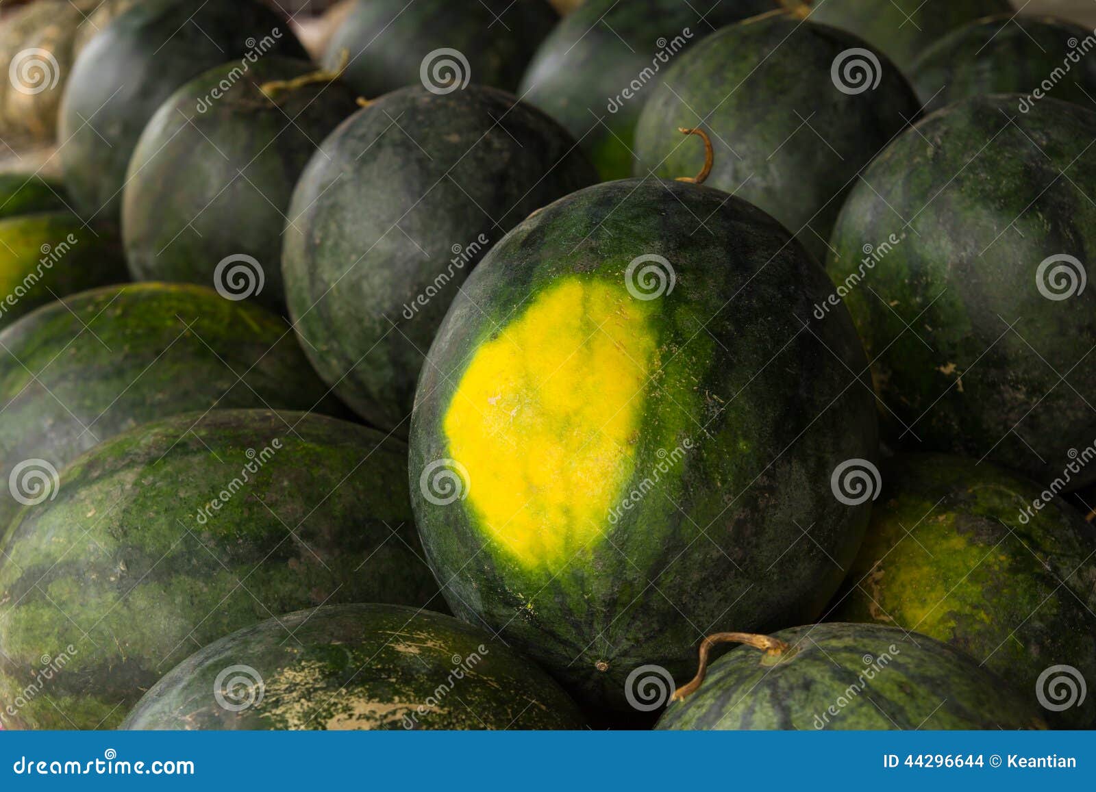 Watermelon groups stock photo. Image of festive, juicy 44296644