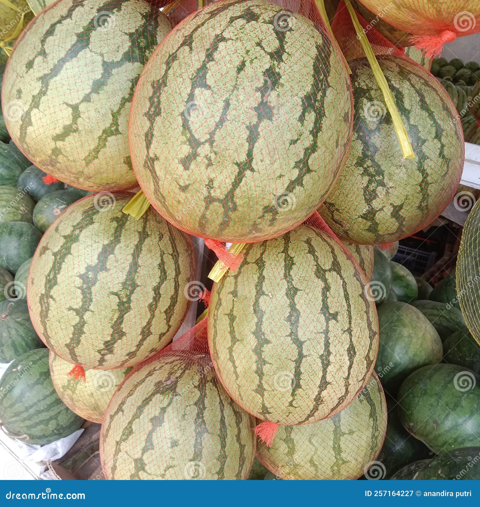 Watermelon in the Parasite Basket Stock Image Image of autumn, basket