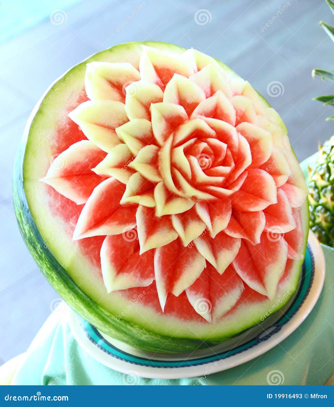 Watermelon rose stock image. Image of flower, artist 19916493