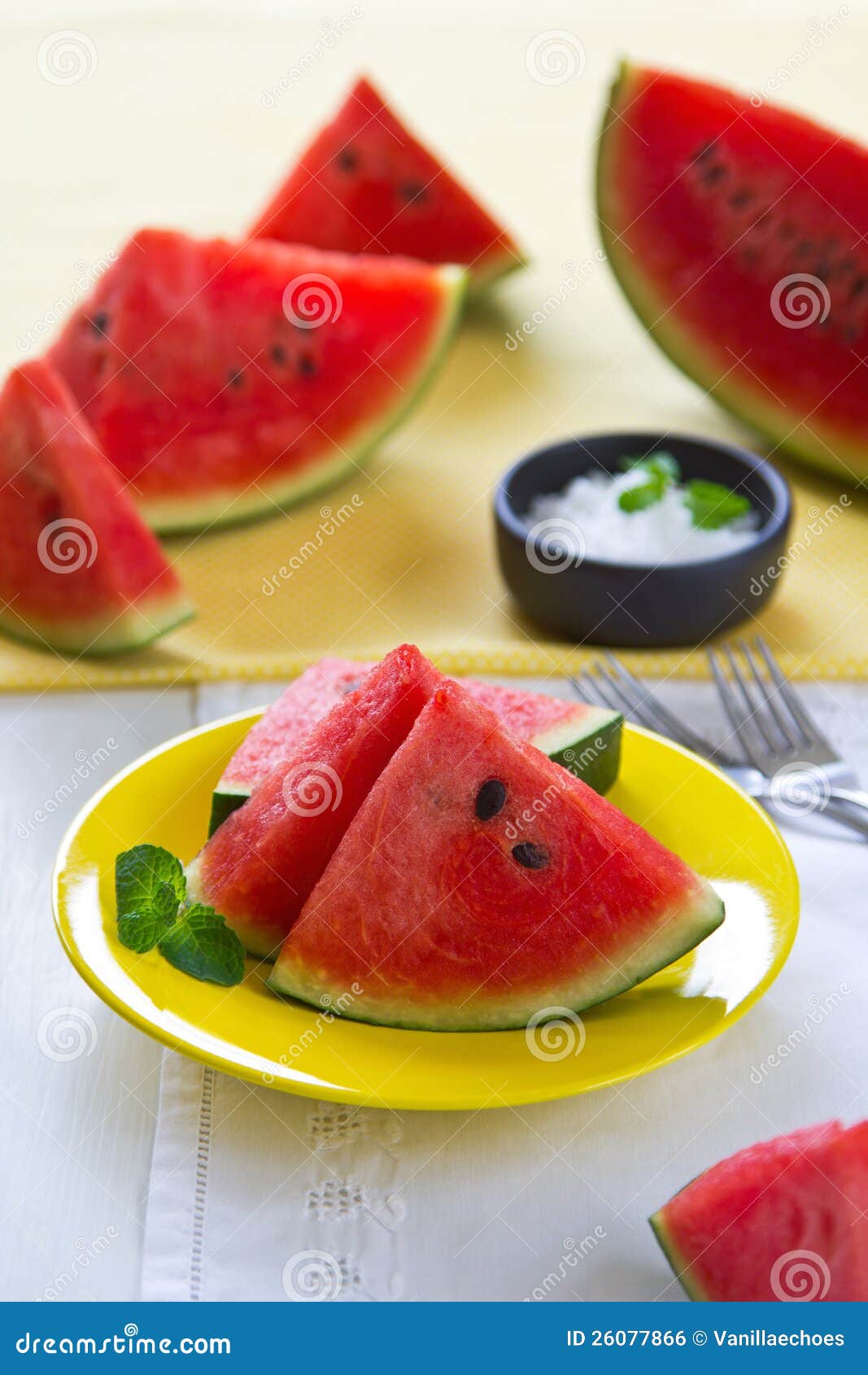Watermelon with salt stock photo. Image of summer, watermelon 26077866