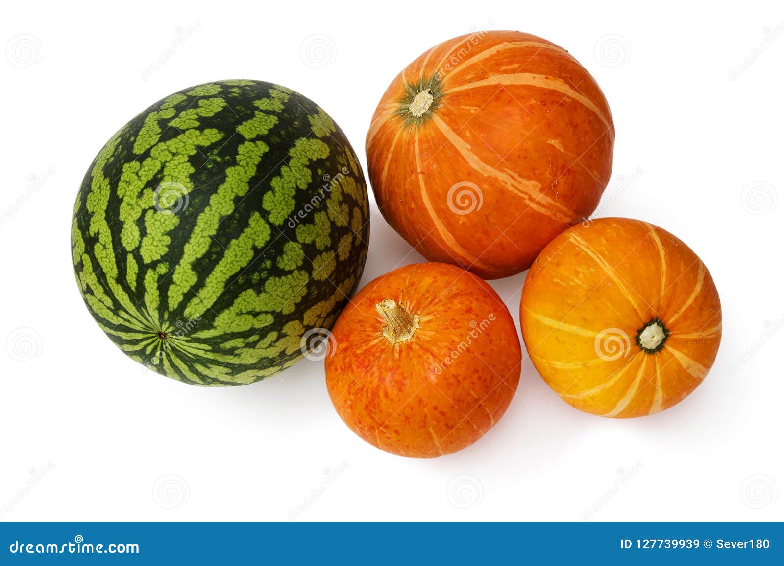 Watermelon and Three Pumpkins on a White Background Stock Image Image
