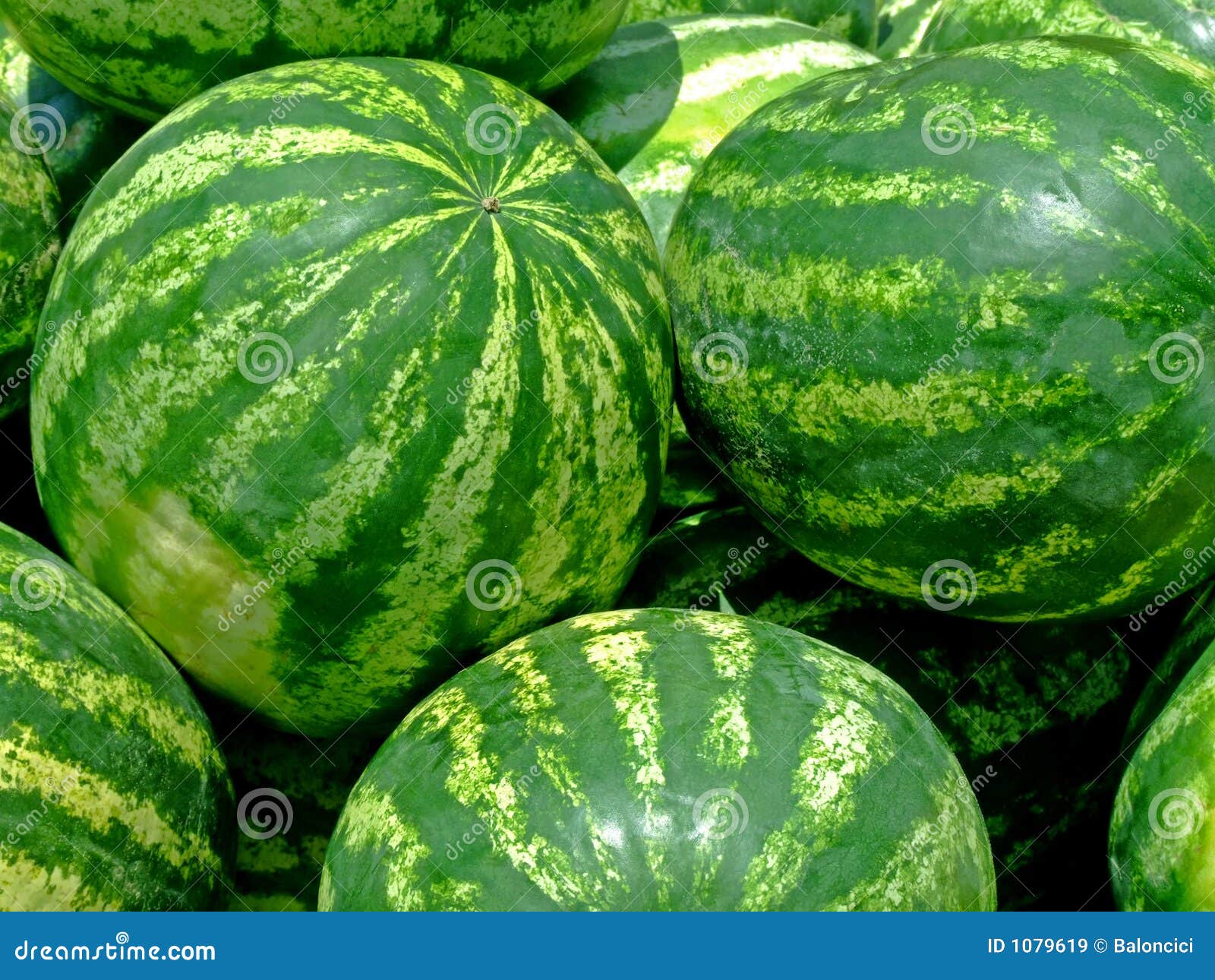 Watermelons stock image. Image of delicious, order, crisp 1079619