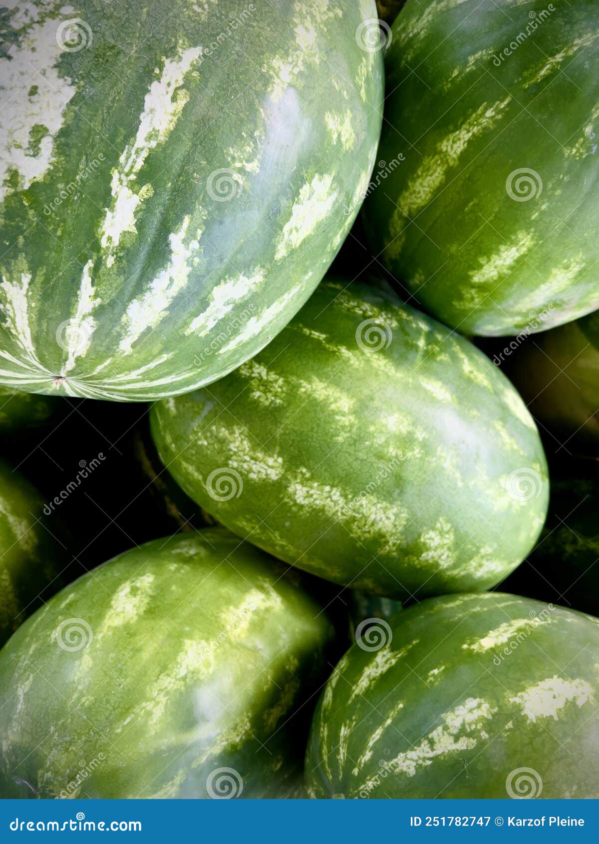 Watermelons Group. Summer Fruit Stock Image Image of fruit